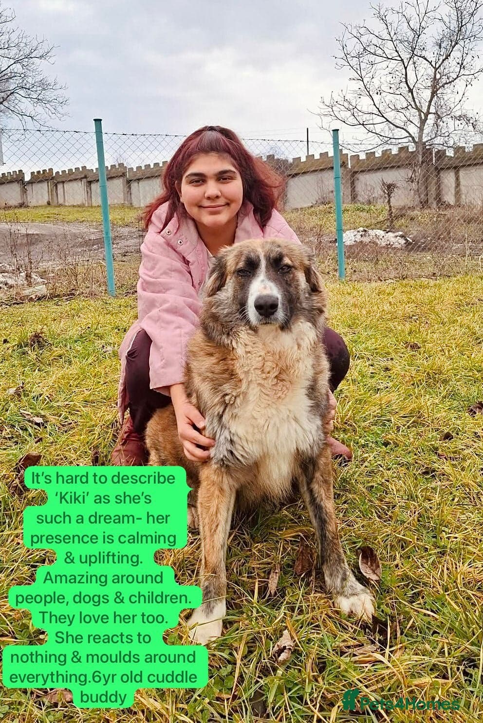 Kiki, 6 yrs approx. — Mixed Breed