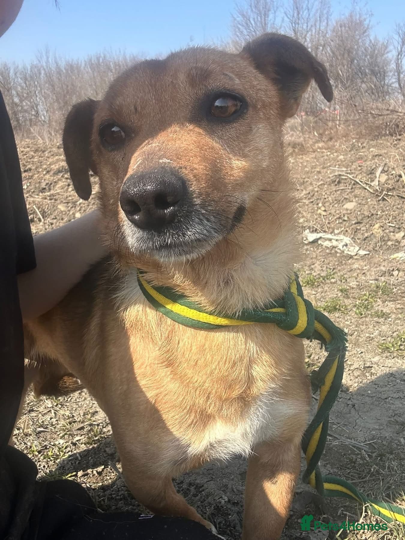 Terry - Norwich Norfolk photo 2