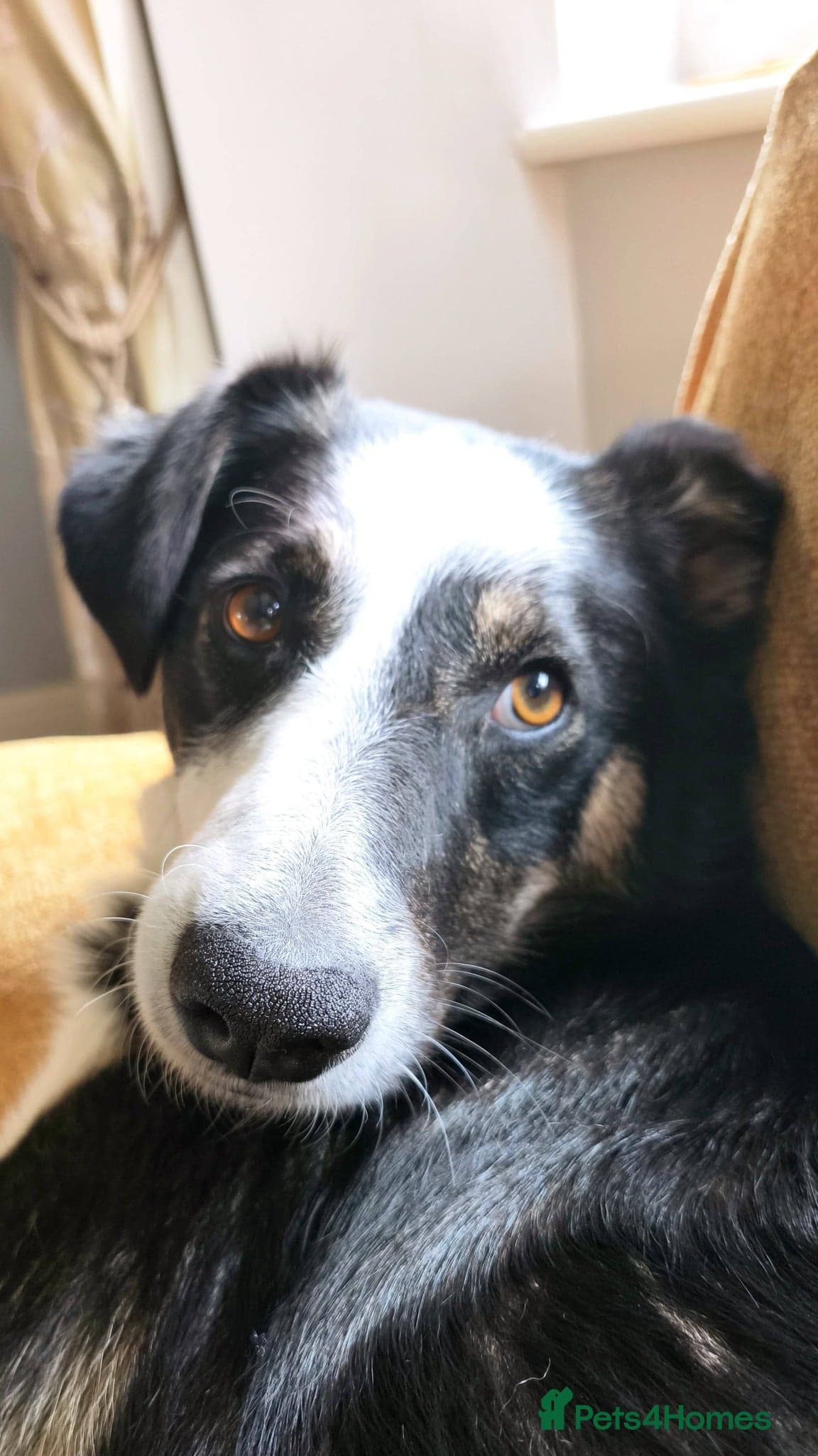 MAX๐ Let Down But Still Loving photo 5