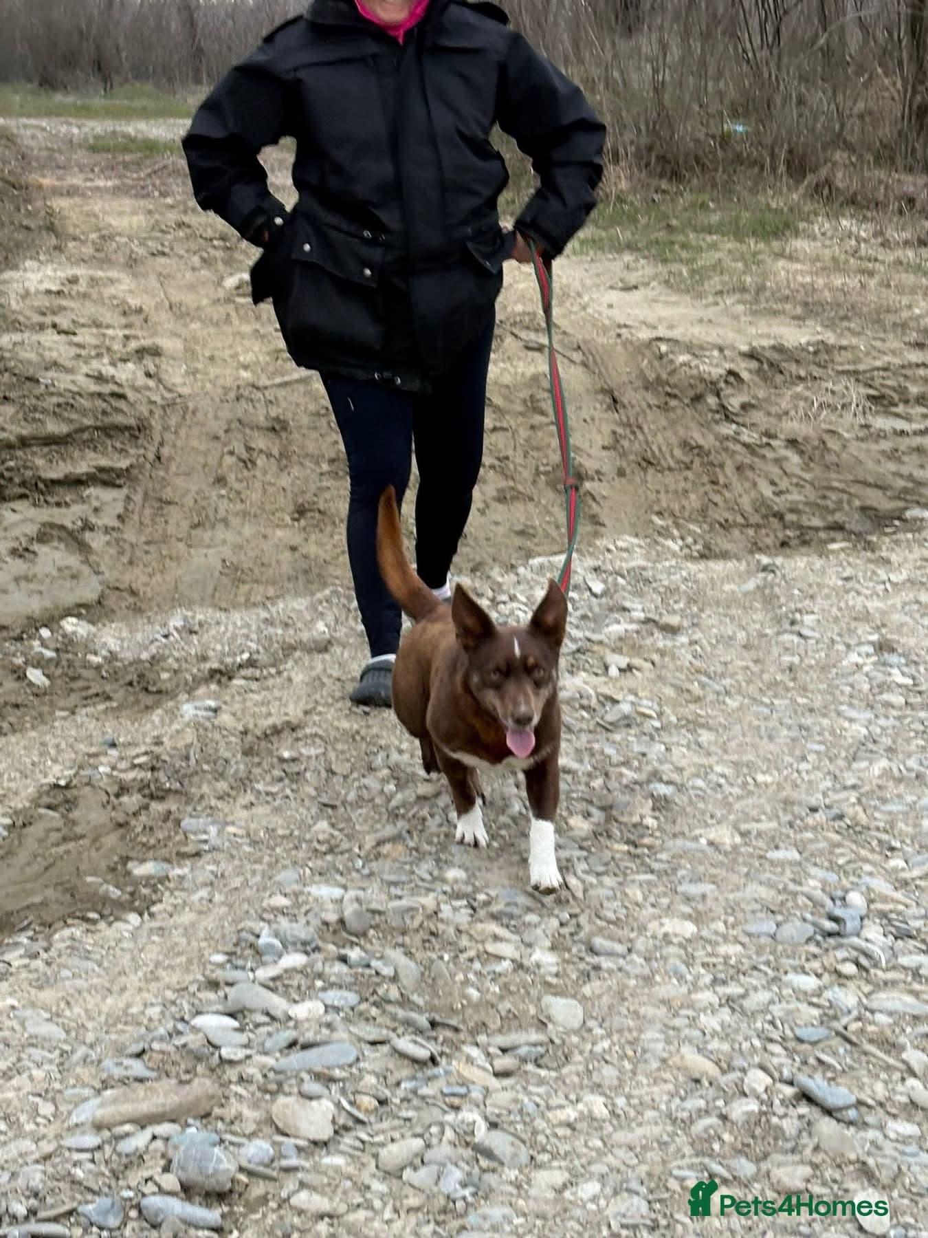 India - Norwich Norfolk photo 10