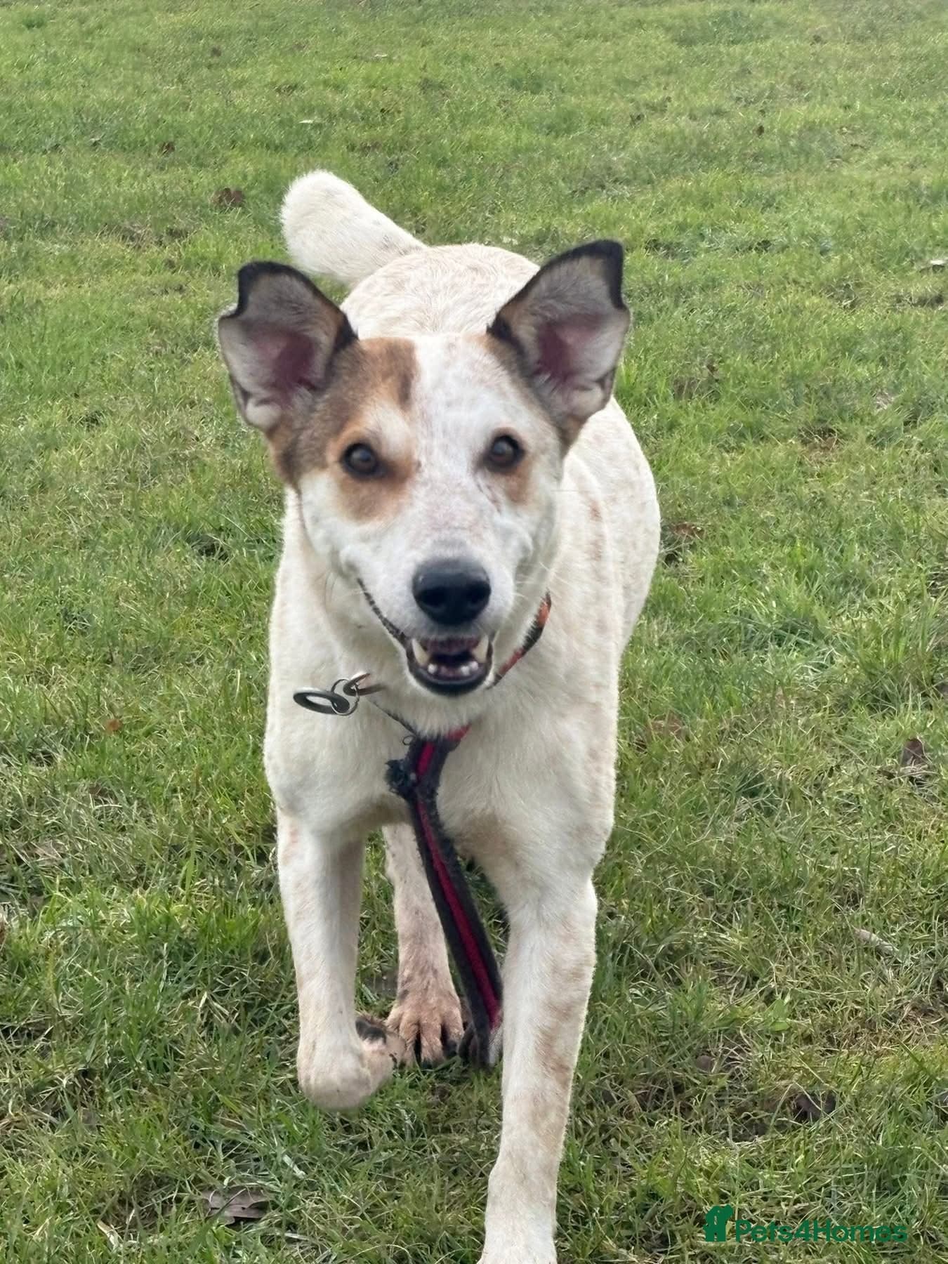 Trinity - Norwich Norfolk photo 2