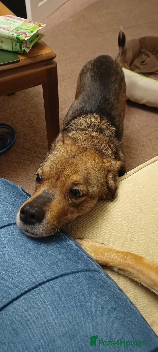 Erica - Norwich Norfolk photo 8