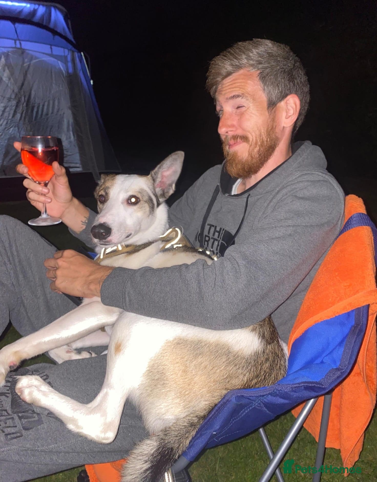 ๏ธ๐ถ bela photo 6