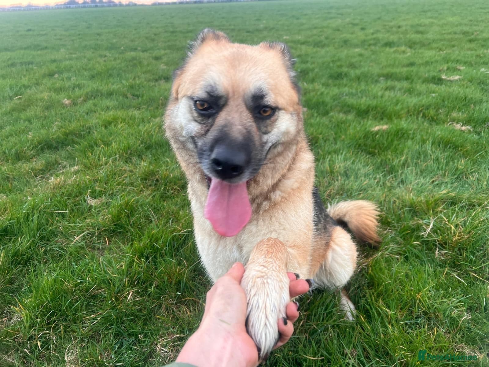 Molly 3.5 years friendly girl photo 9