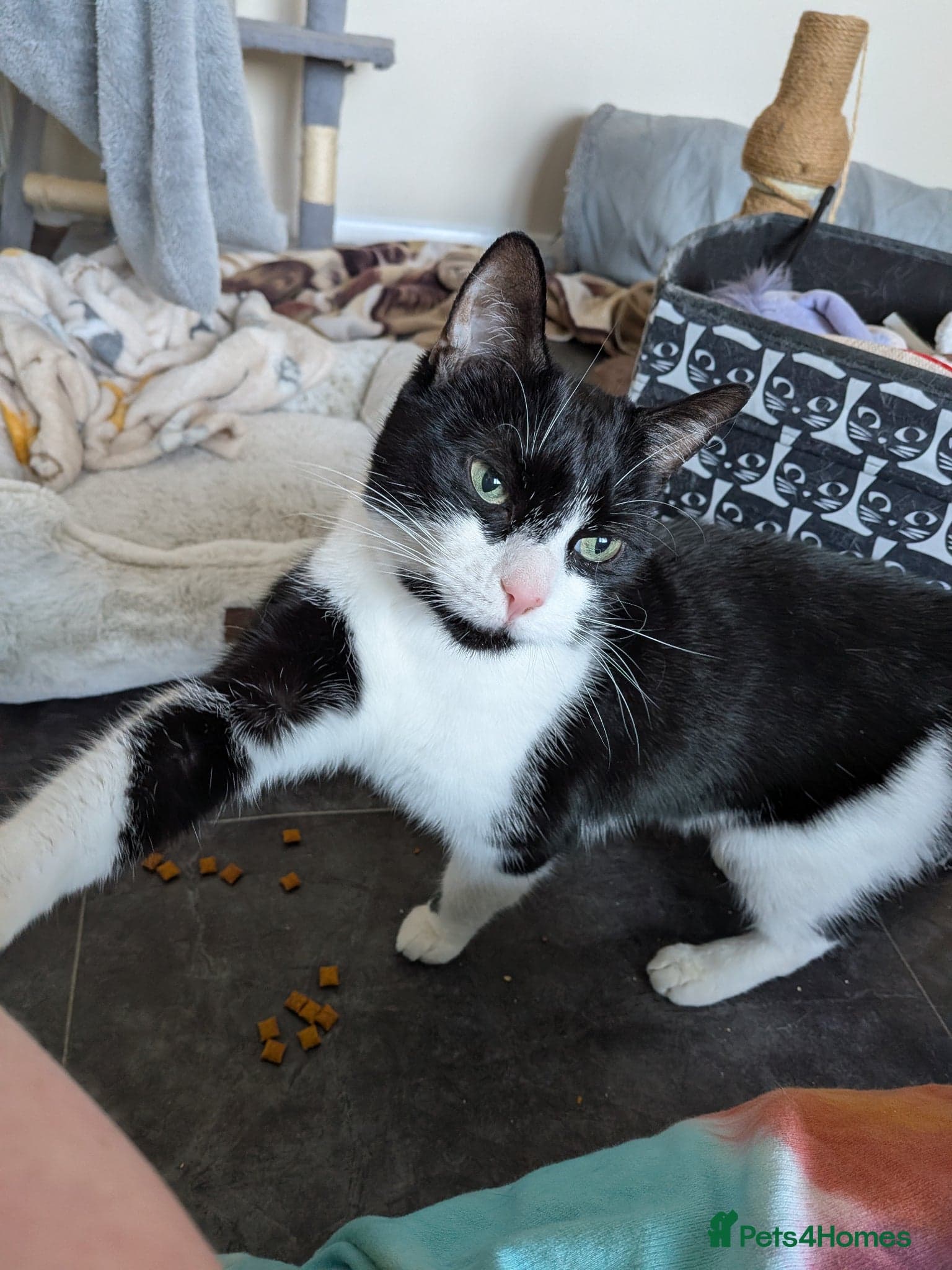 Rosie and Jim photo 5