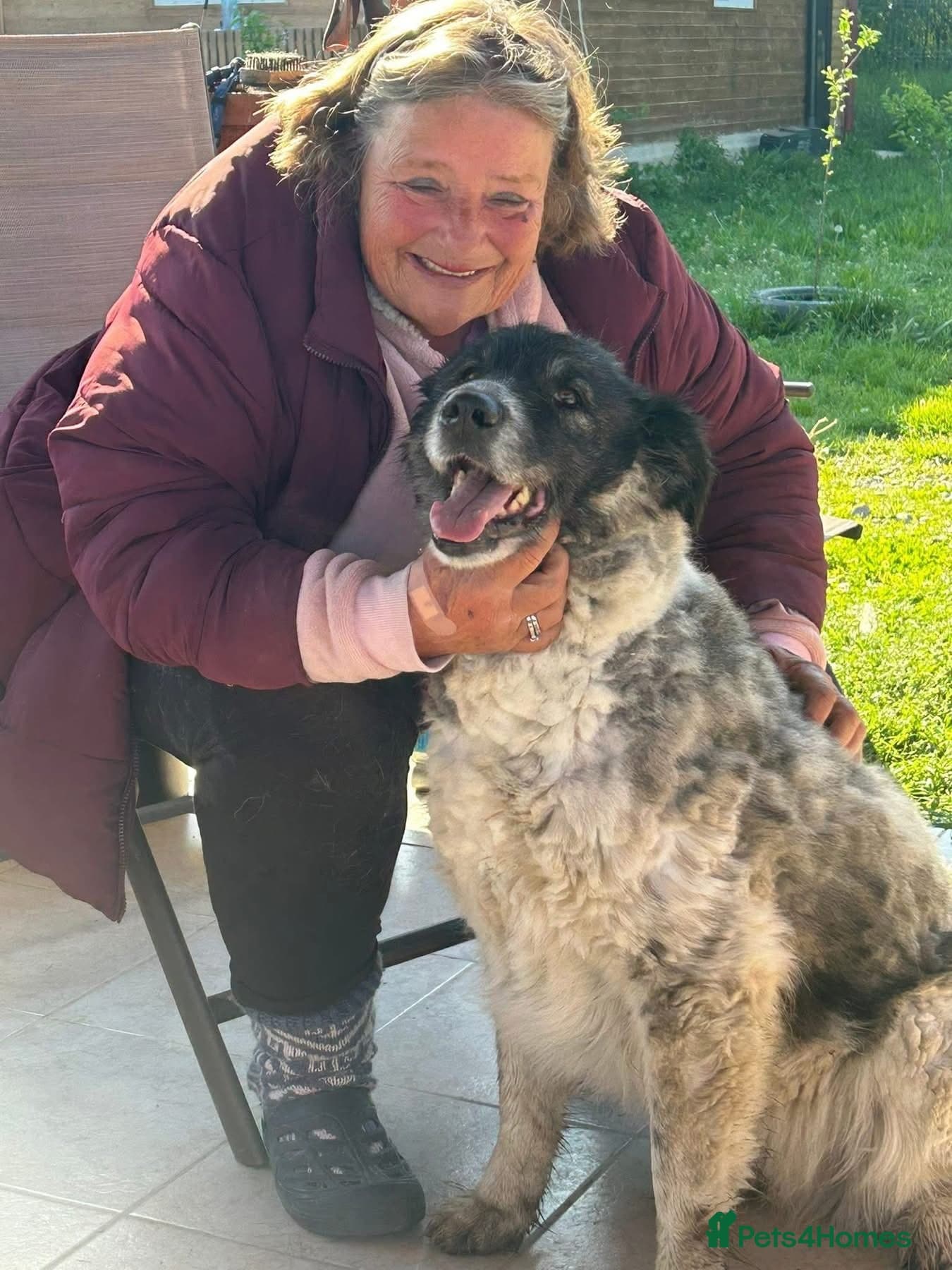 Freya - Norwich Norfolk photo 8