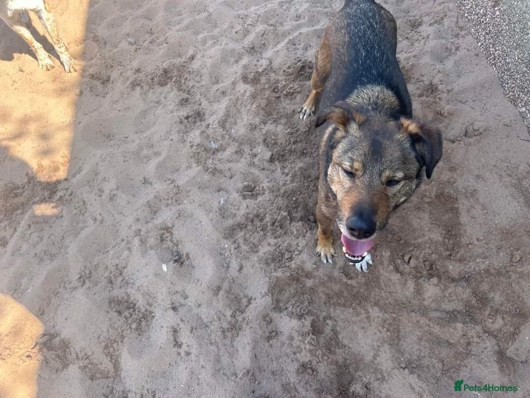 Meet Jake, currently residing in Cheshire photo 25