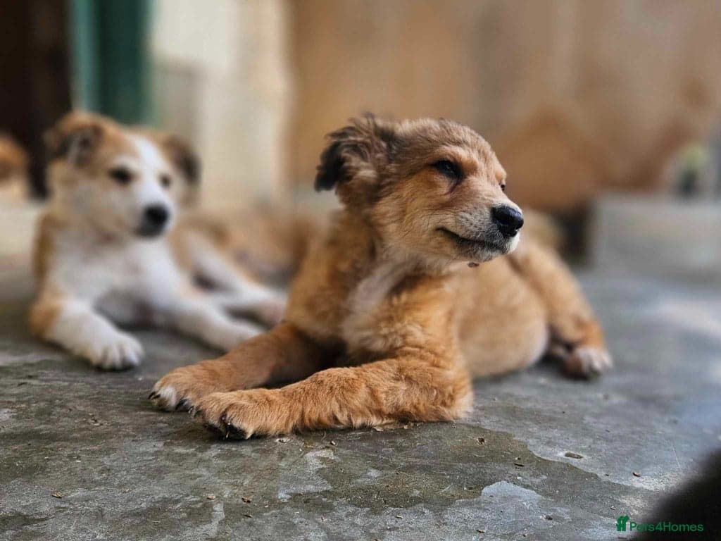 Coffee & robyn photo 13