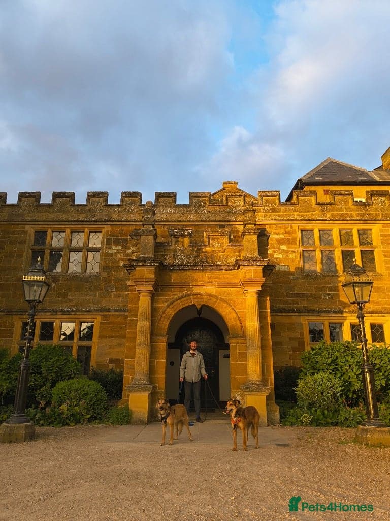 Coffee & robyn photo 15