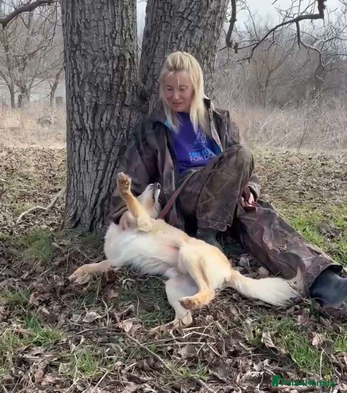 Gerrard - Norwich Norfolk photo 2