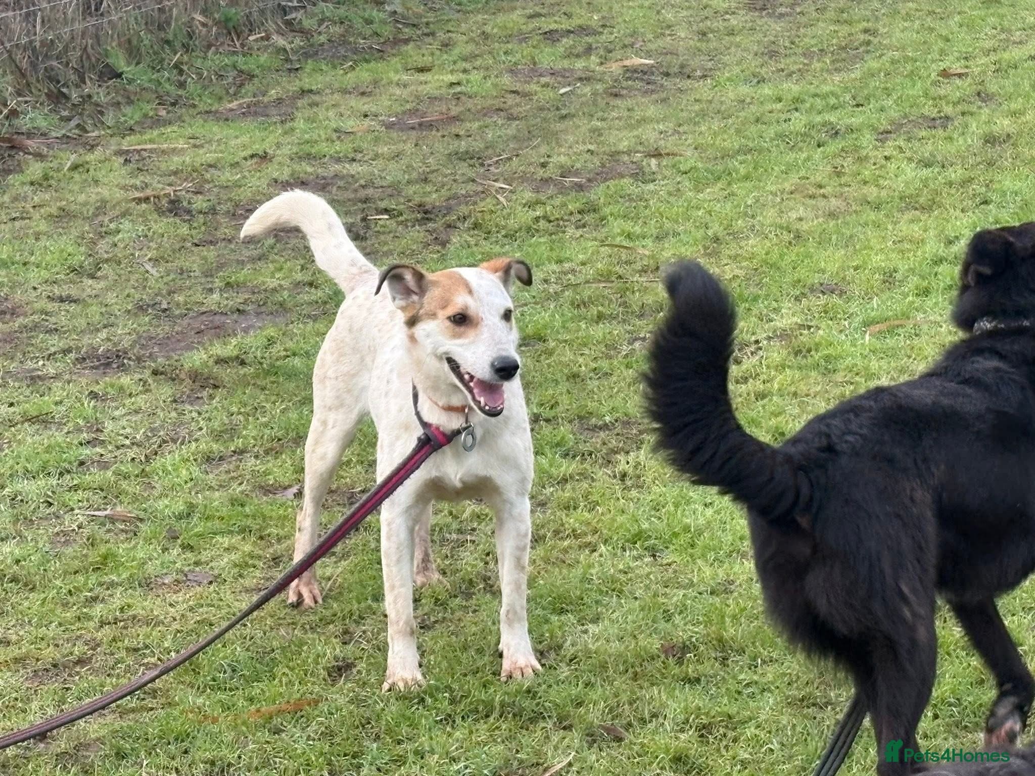 Trinity - Norwich Norfolk photo 13