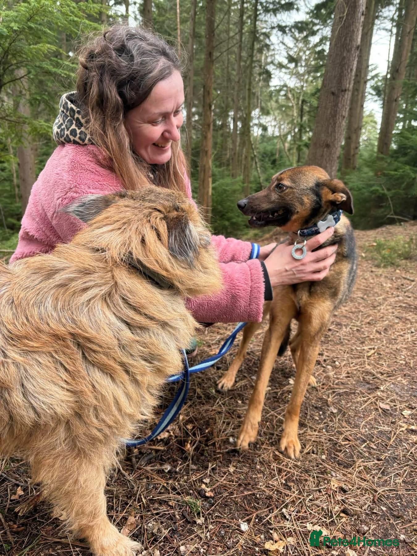 Figgy - Norwich Norfolk photo 13