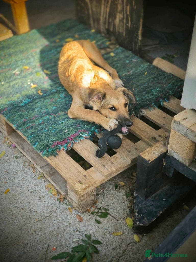 Coffee & robyn photo 12