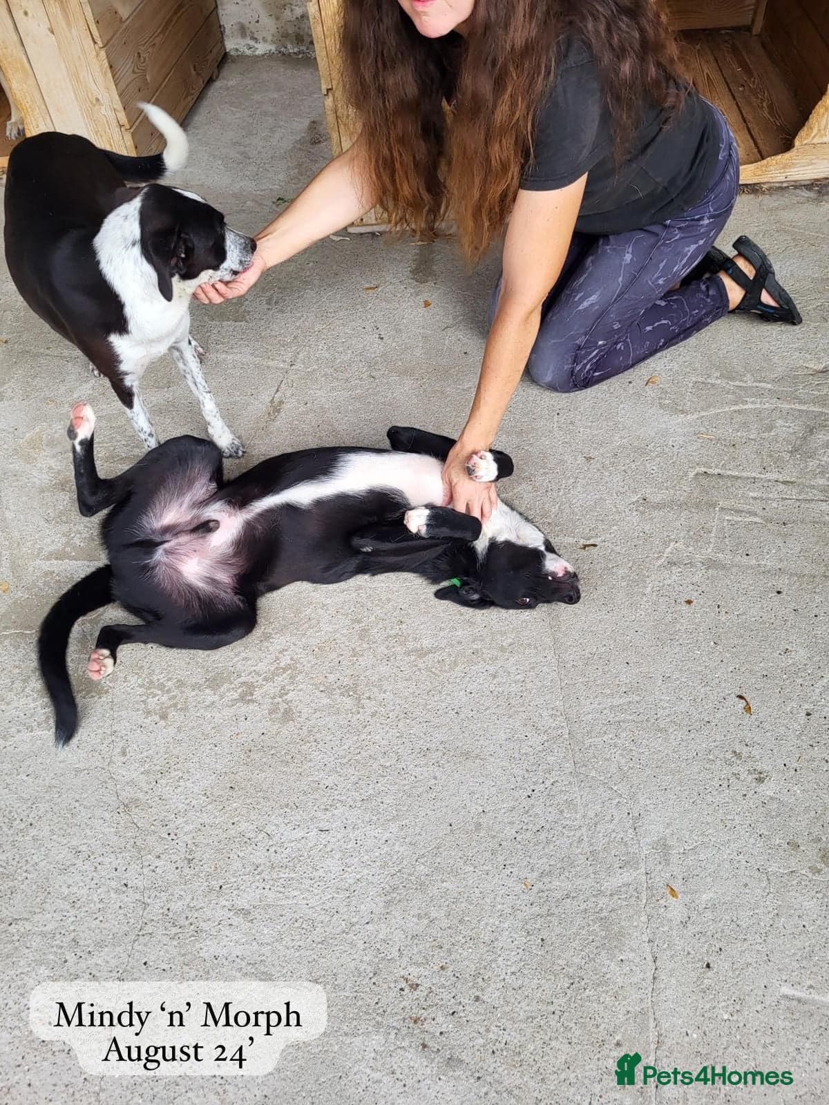 Pretty Mindy. Reserved STC. photo 11