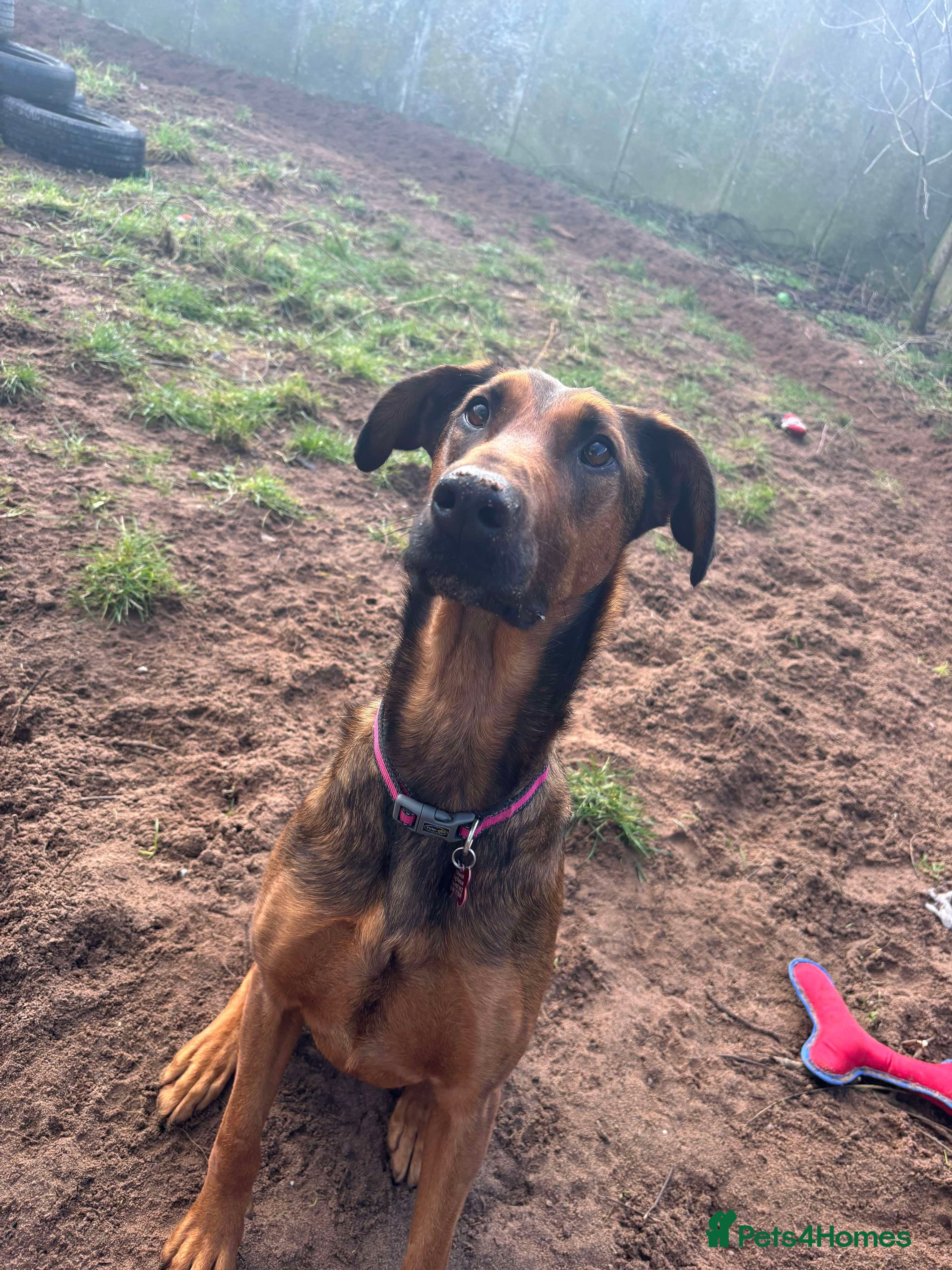 Meet Carrie,currently residing in Cheshire photo 6