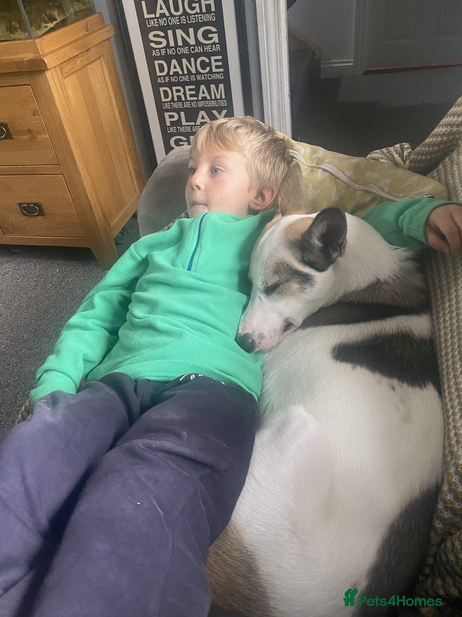 ๏ธ๐ถ bela photo 13