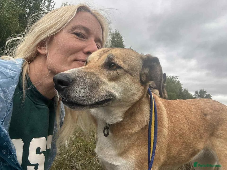 Sara - Norwich Norfolk photo 6