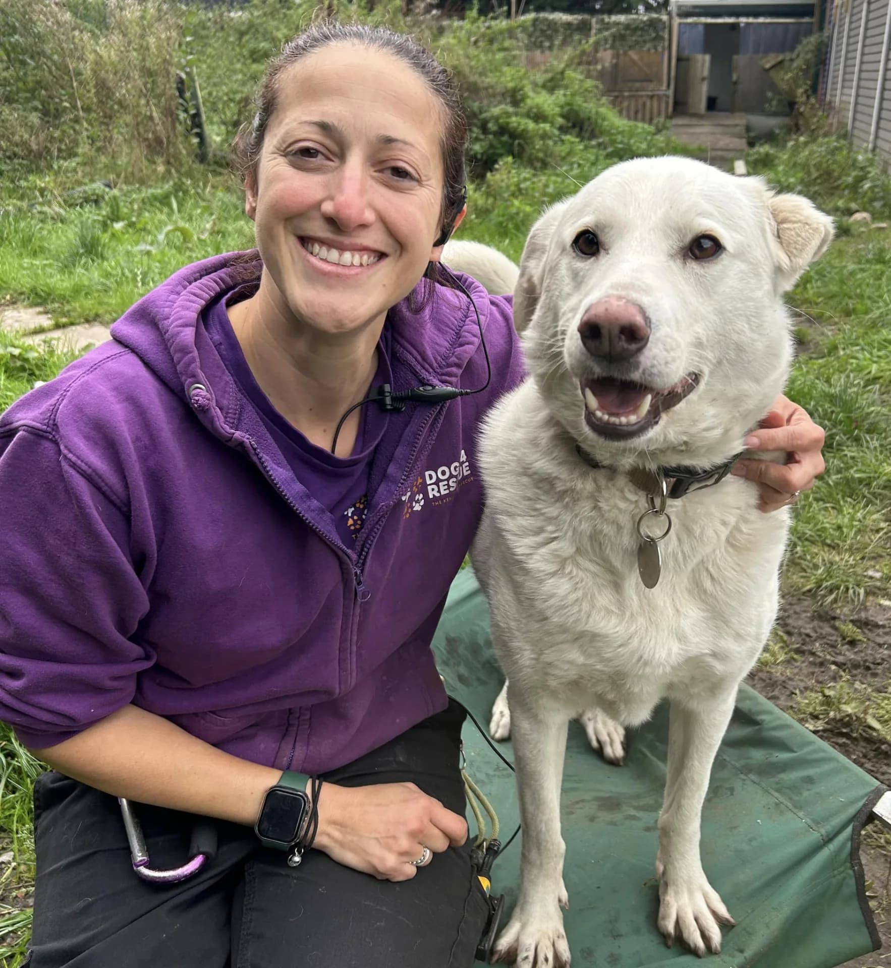 Elton — Mixed Breed